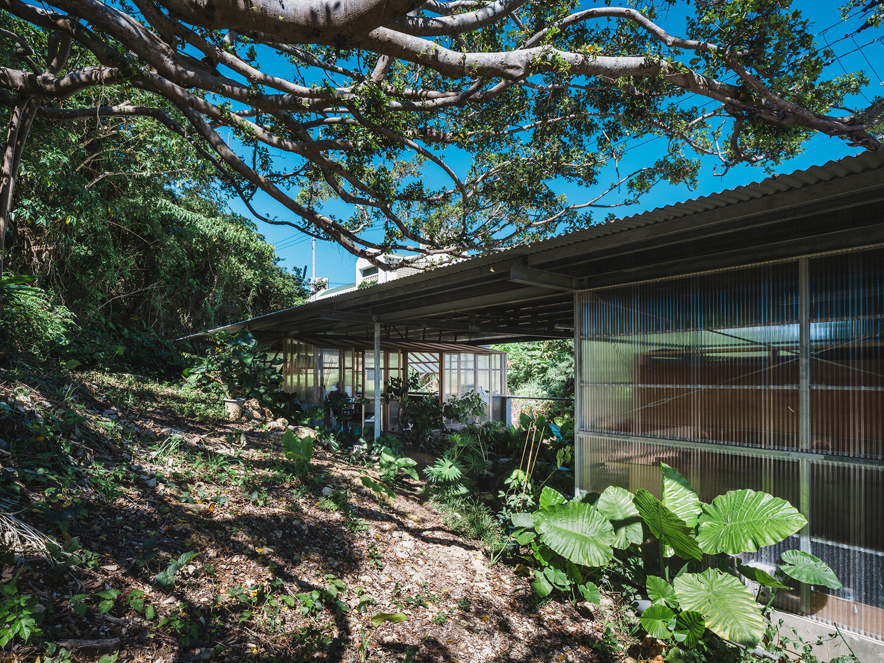studio-cochi-architects-okinawa-workspace-double-skin-insect-netting-vinyl-designboom-large03