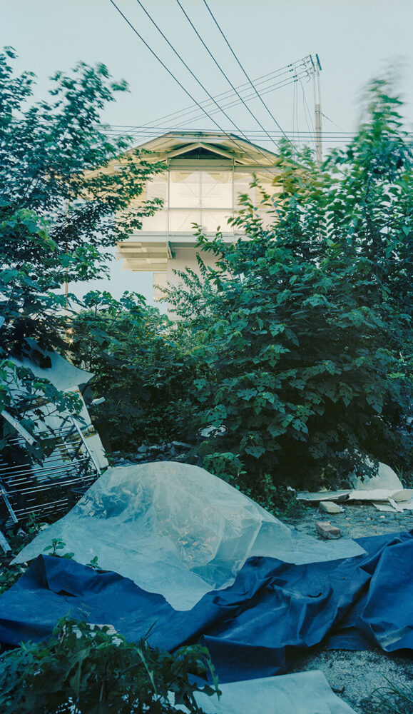 the small structure emerges through dense roadside vegetation