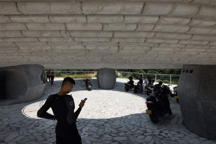 image by Qingyan Zhu