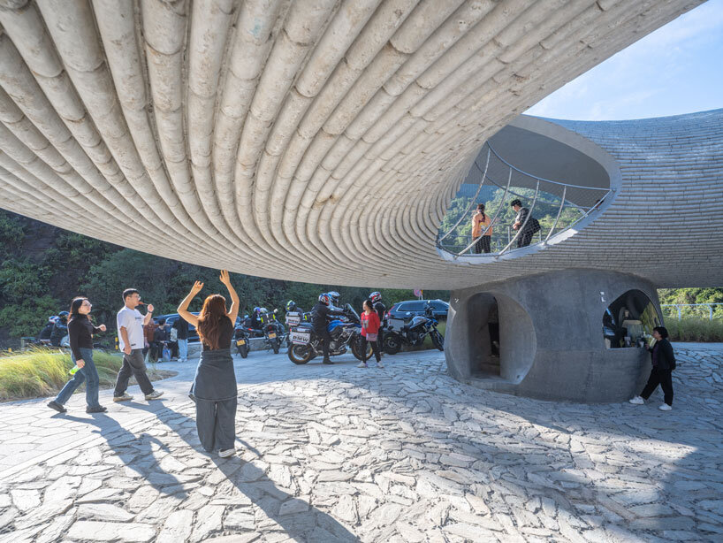 image by Fangfang Tian