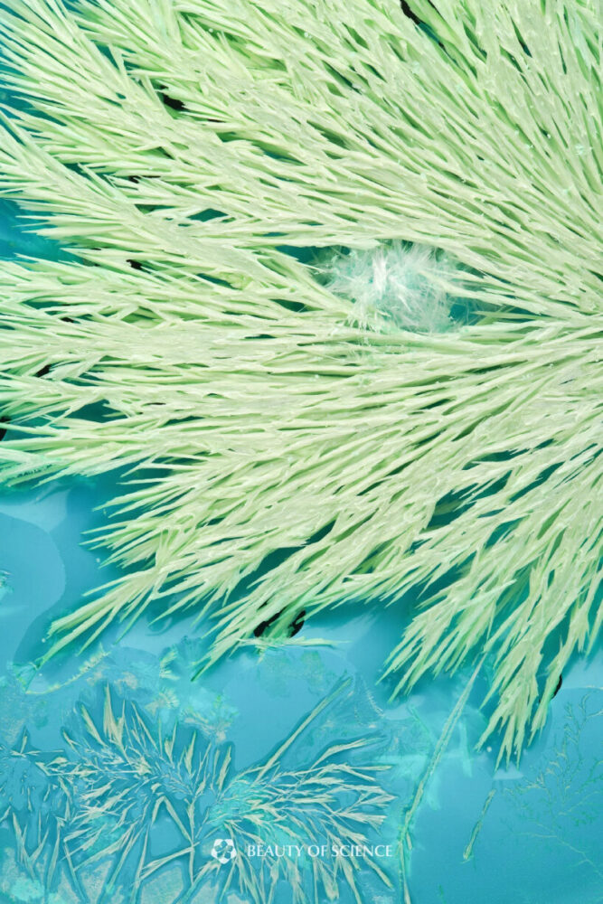 Emerald Front Adrift