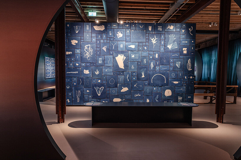 cyanotype works are presented against deep blue exhibition walls 