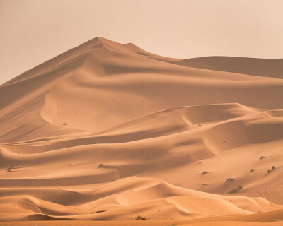 can desert sand with plant-based materials be used to build houses and roads?