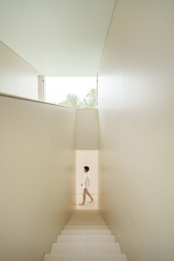  the upper floor contains four rooms and a fifth space that operates as a distributor and study area | image by Jesús Orrico