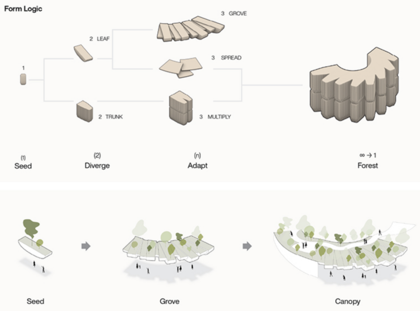 form logic: one seed profile diverges and adapts into a unified forest facade