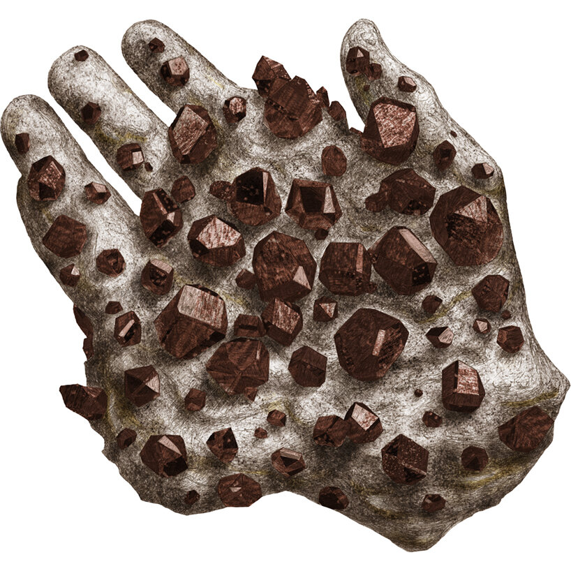 template drawing of the fossilized hand with garnets