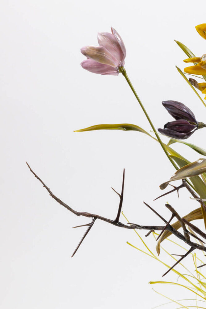 Lilla Tabasso, Uncultivated Garden, Zolla Tulipani, 2025, courtesy of the artist and Caterina Tognon | image by Roberto Marossi