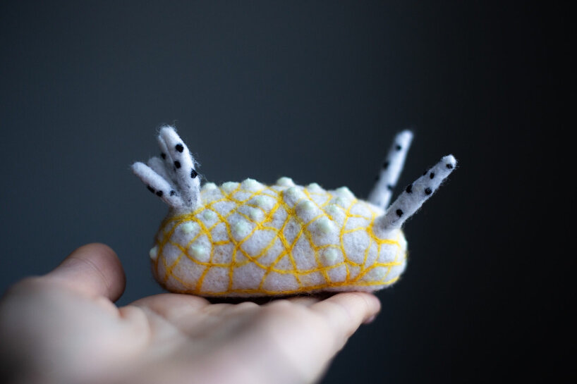 Halgerda terramtuentis (Bertsch & S. Johnson, 1982)