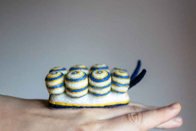 Doto greenamyeri (Shipman & Gosliner, 2015)