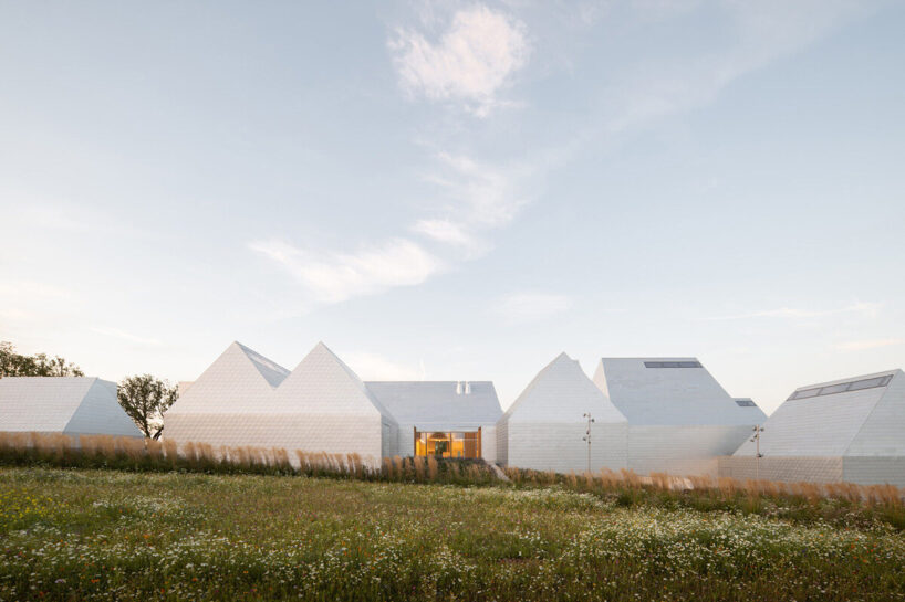 image © Aiste Rakauskaite