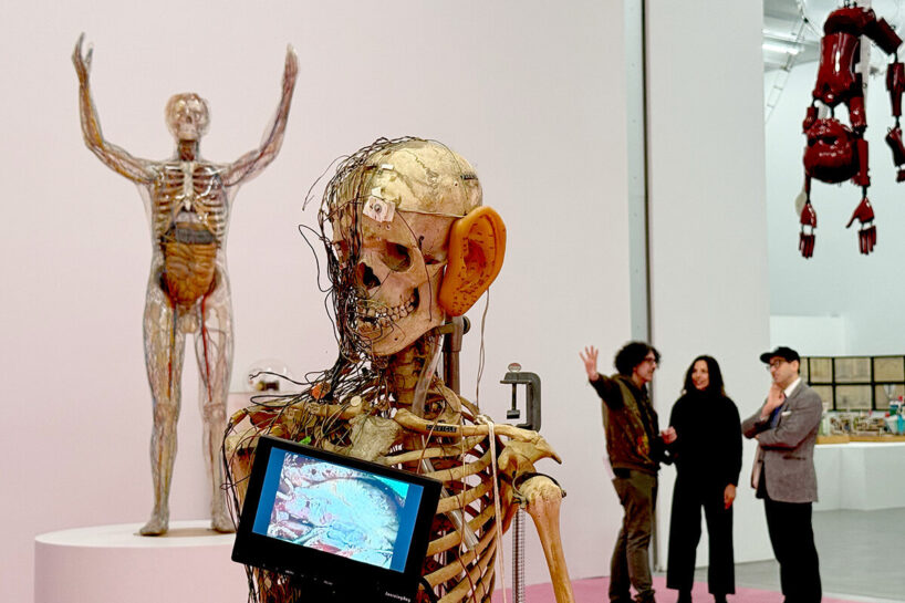 New Humans: Memories of the Future, 2026, exhibition view. New Museum, New York | image © designboom