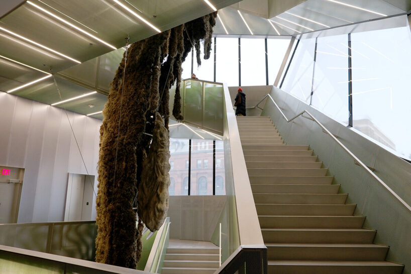 Klára Hosnedlová, Shelter | image © designboom