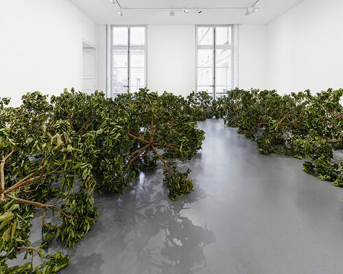 paola pivi imagines a living cosmos grown from lemon trees at perrotin paris exhibition