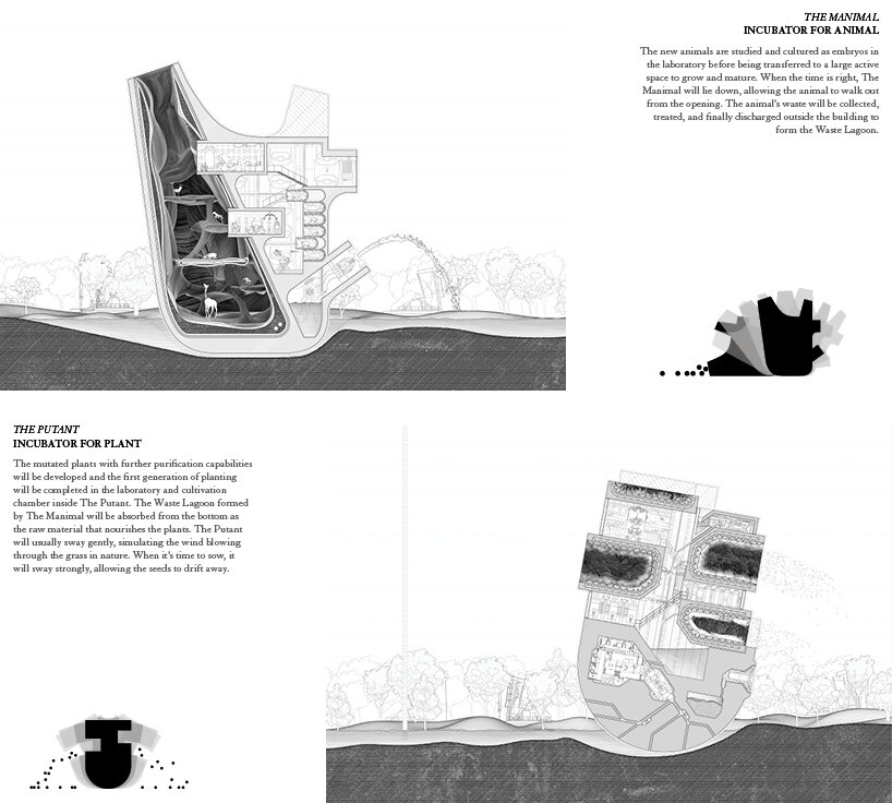 metabolic cycles of Manimal and Putant: sections detailing the material exchange: animal waste nourishes mutated plants within The Putant, which sways with the wind to disperse seeds
