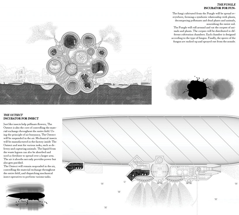 sections of the Fungle and the Outsect: the Fungle rolls to eat organic matter, while the Outsect remains suspended in air to control the site’s total material and nutrient exchange