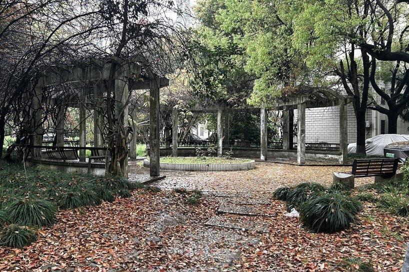 the site before renovation: an underused circular planter surrounded by aging wisteria trellises