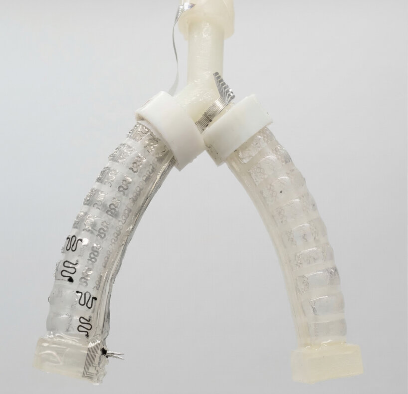 stretchable robotic fingers for surgery decompose in soil and become fertilizer
