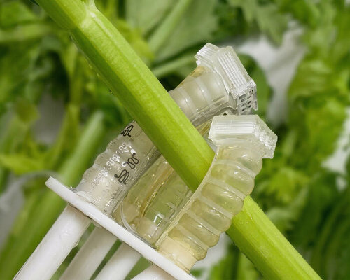 stretchable robotic fingers for surgery decompose in soil and become fertilizer