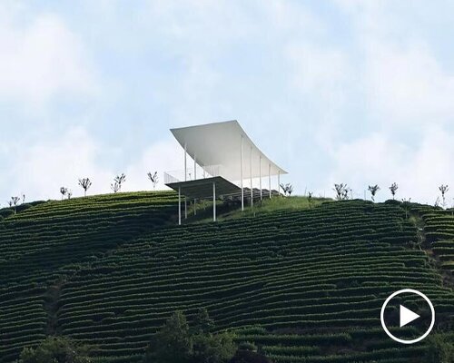 studio RE+N’s floating pavilion hovers like a thin white wing above chinese tea mountain