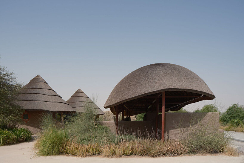 urko sanchez sharjah bridi