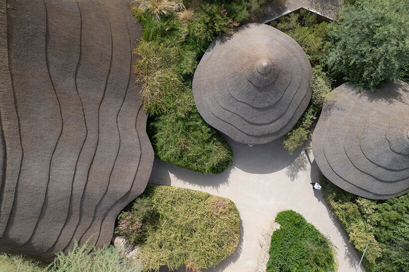 urko sanchez sharjah bridi