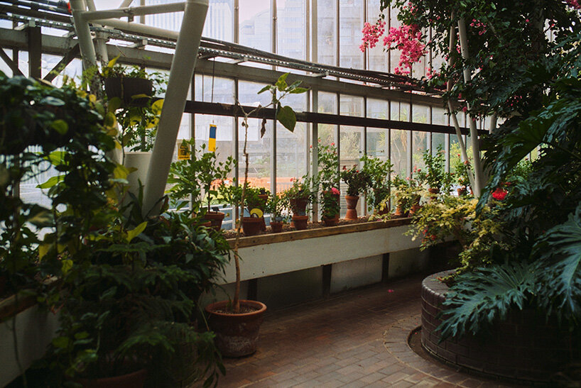 perimeter walkways frame views outward while maintaining the enclosure of the interior garden