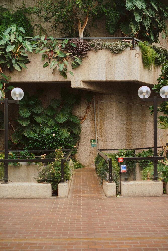 vegetation spills over concrete edges, softening thresholds between levels