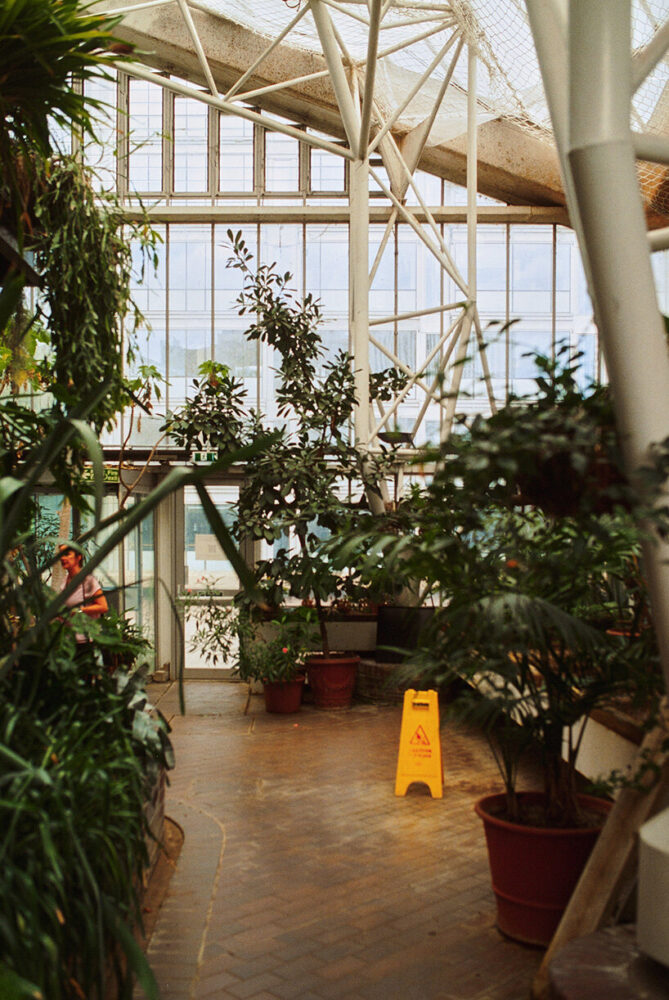 dense planting rises toward the glazed envelope