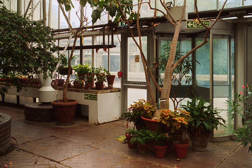 potted plants cluster around circulation nodes