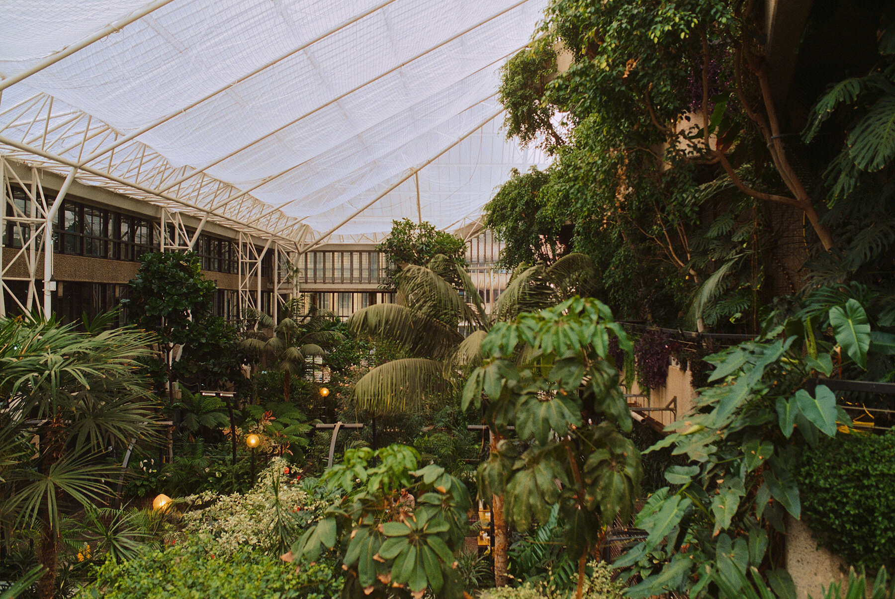 david-altrath-jungle-london-barbican-conservatory-designboom-large01