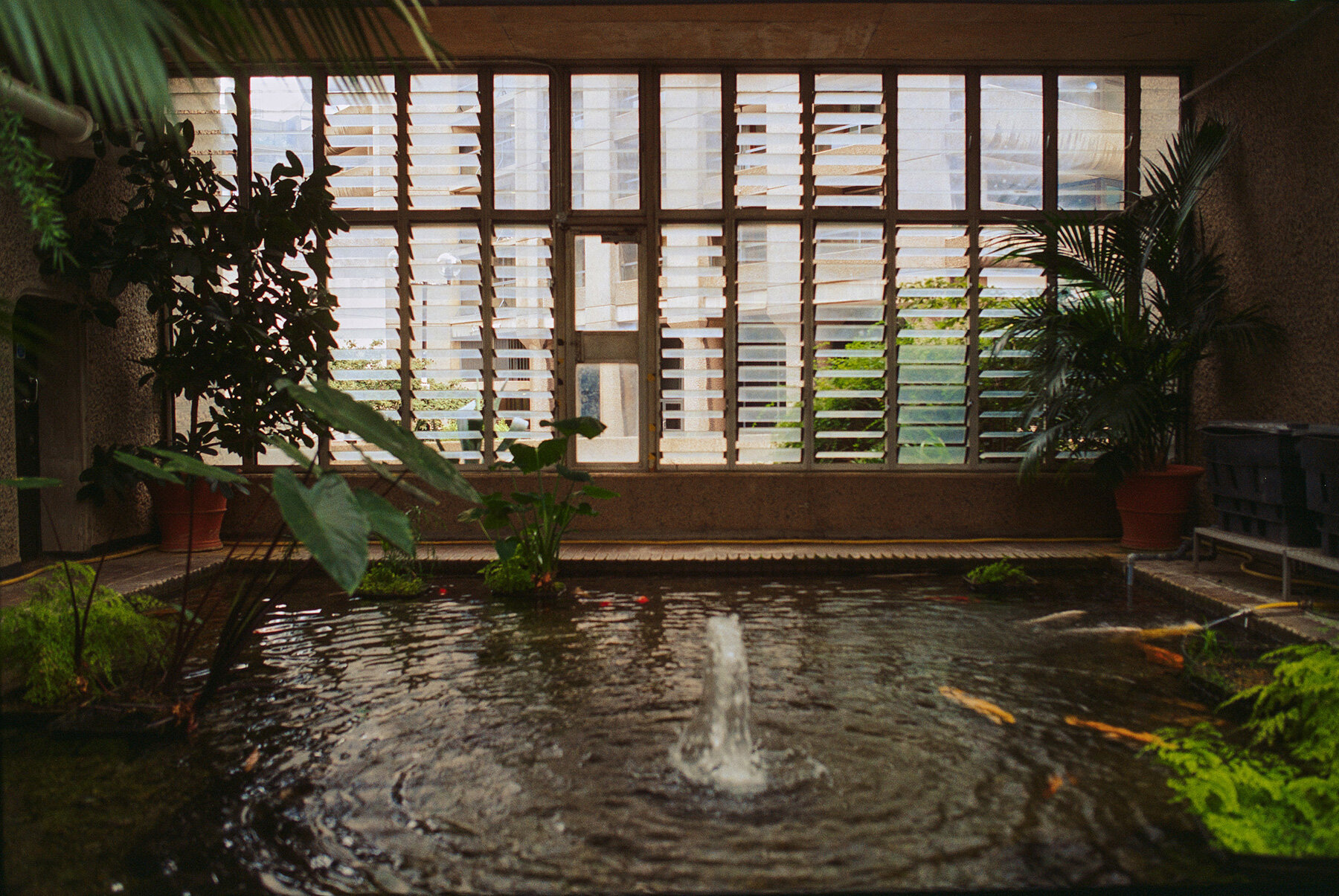 david-altrath-jungle-london-barbican-conservatory-designboom-large02
