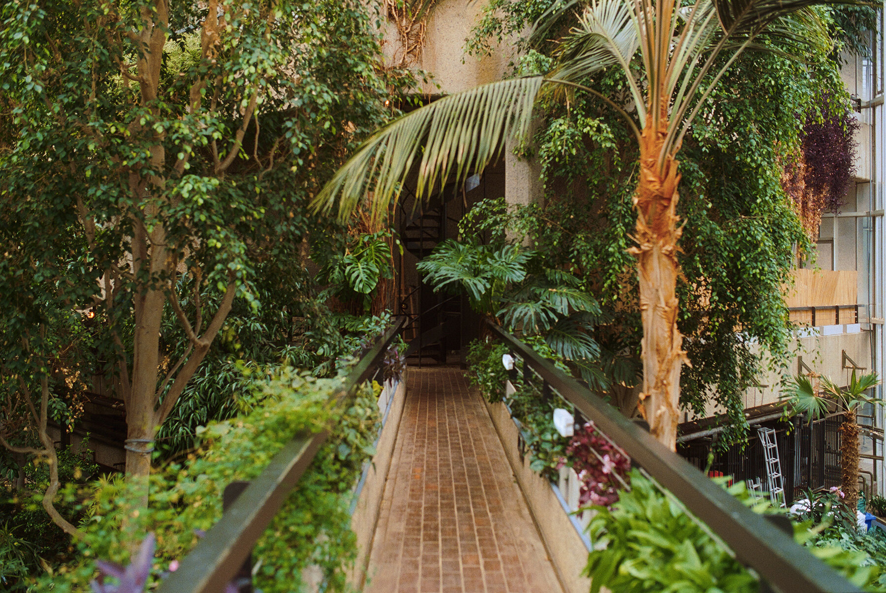david-altrath-jungle-london-barbican-conservatory-designboom-large03