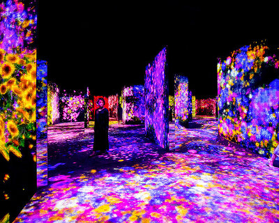 teamLab explores 'borderless continuity' in evolving worlds of perception