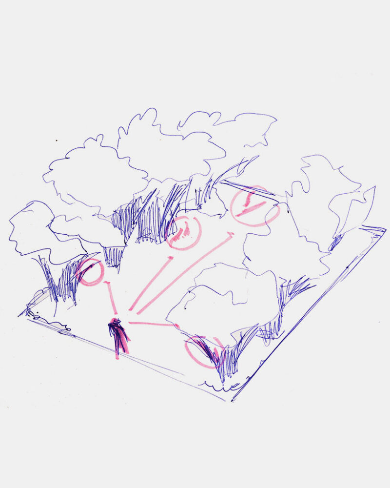 conceptual drawing maps the landscape as a field of potential material and action