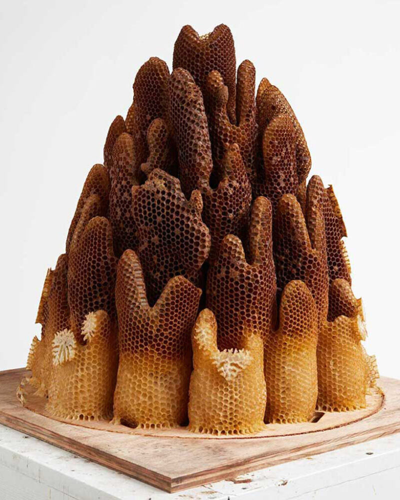 Hilary Berseth, Programmed Hive #8, 2008. image courtesy Eleven Rivington Gallery and the artist