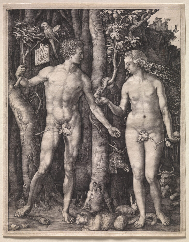 The Naked Body: Adam and Eve, Albrecht Dürer (German, 1471– 1528), 1504; Fletcher Fund, 1919 (19.73.1). photo © The Metropolitan Museum of Art