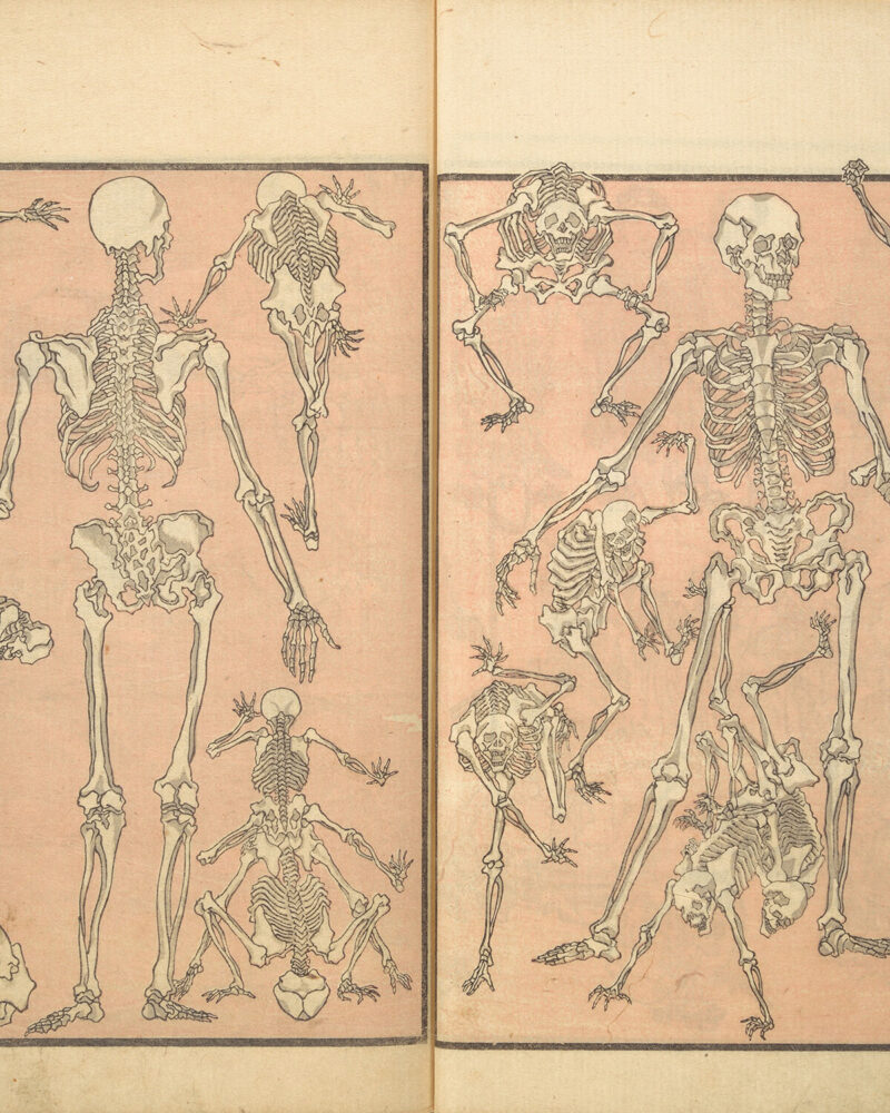 The Mortal Body: Kyōsai sketchbook (Kyōsai manga) 暁斎漫画, Kawanabe Kyōsai 河鍋暁斎 (Japanese, 1831–1889), Meiji period (1868–1912), 1881 (Meiji 14); Purchase, Mary and James G. Wallach Foundation Gift, 2013 (2013.765). photo © The Metropolitan Museum of Art