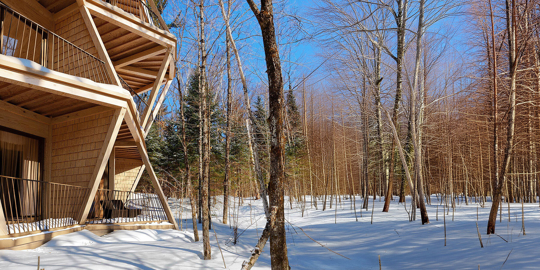 dajti-village-tirana-albania-arup-residential-ensemble-mountain-forest-landscape-designboom-1800-2
