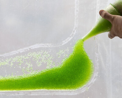 how ecoLogicStudio uses a practice of repair to grow buildings that breathe
