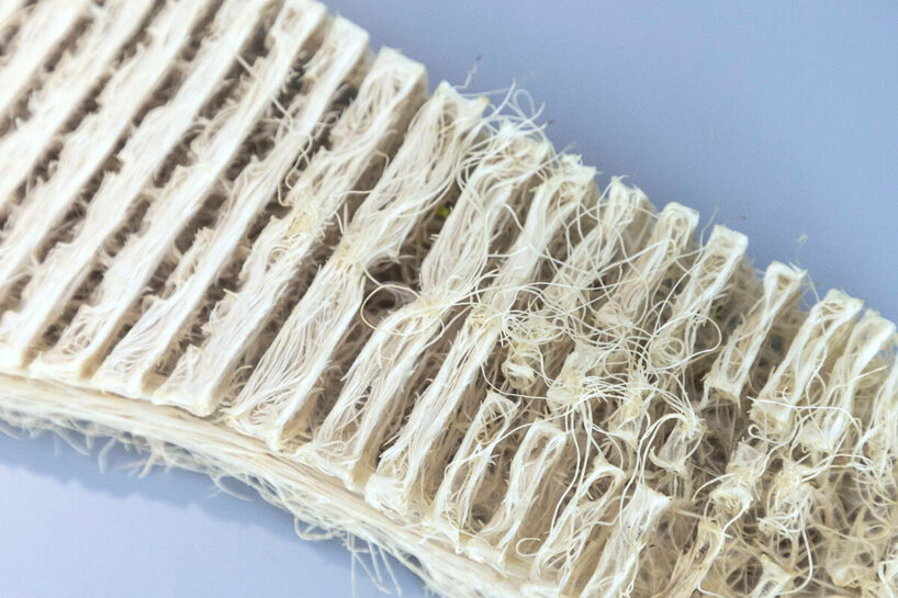 Purified x Rootfull, The Future Fabrics Expo 2025. image © Rootfull
