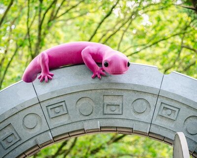 monster chetwynd’s pink salamanders create a playful portal to another world in antwerp