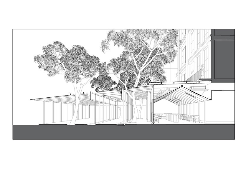 section