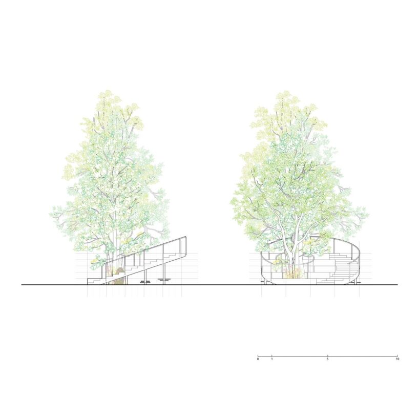 section - elevation