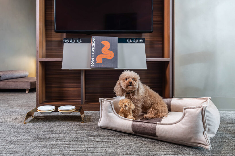 ME by meliá tailors design-forward retreat for pets and the humans they travel with - 2