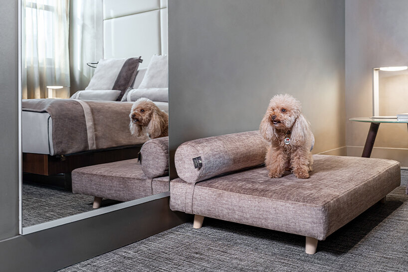 ME by meliá tailors design-forward retreat for pets and the humans they travel with - 3