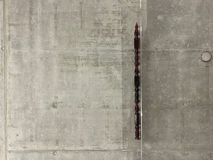 Thuy Tien Nguyen, Gentle integrity, 2022. image courtesy the artist
