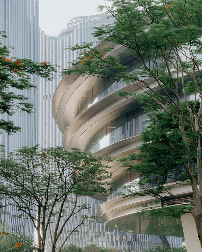 image © Zhu Yumeng