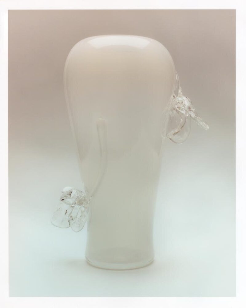 the Tulipa collection by Sophie Lou Jacobsen | photography by Marco Galloway