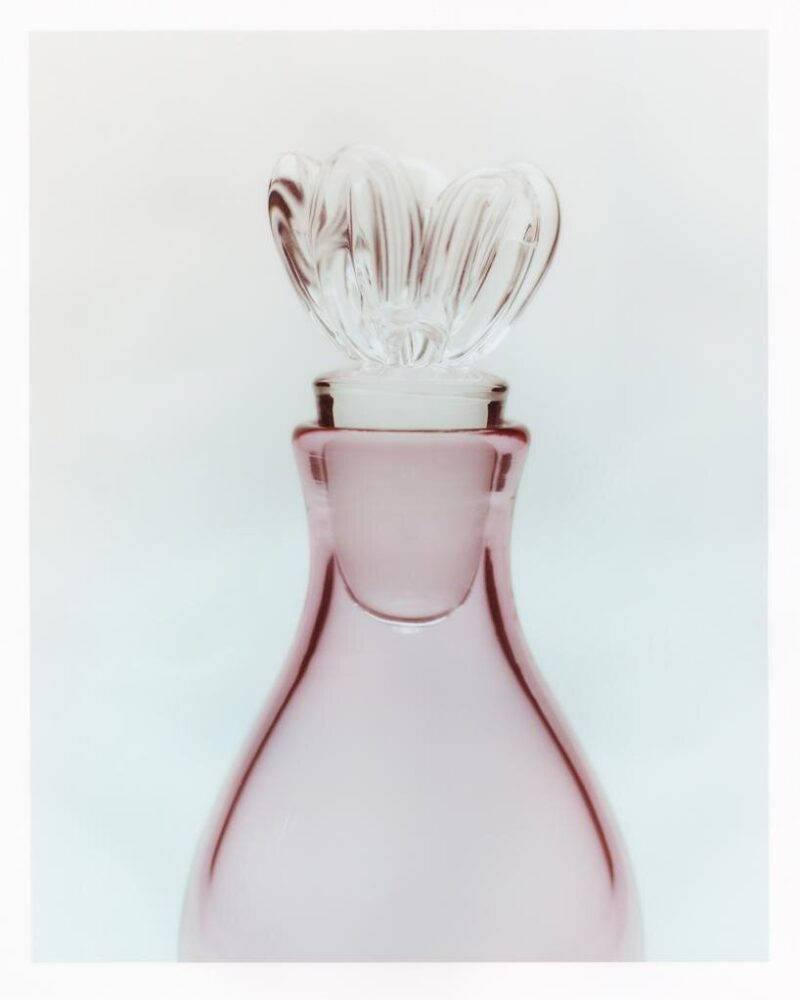the Tulipa collection by Sophie Lou Jacobsen | photography by Marco Galloway