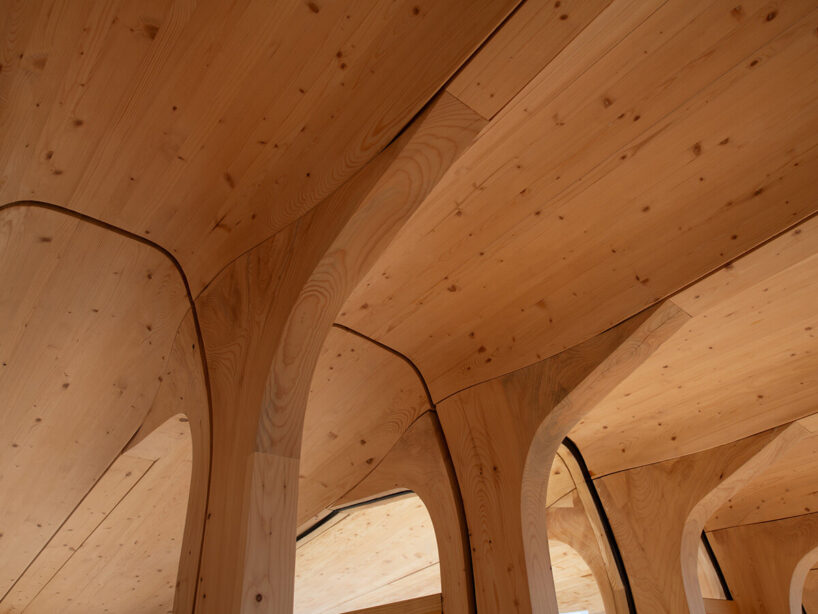 image © Ivar Kvaal